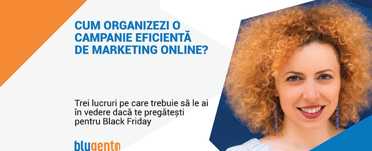 Cum organizezi o campanie eficientă de marketing online?